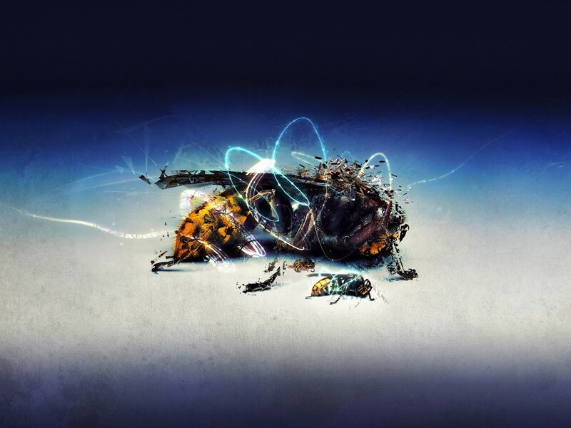 Digital bee explosion artwork
