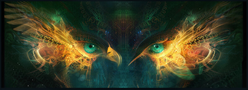 digital bird eyes artwork