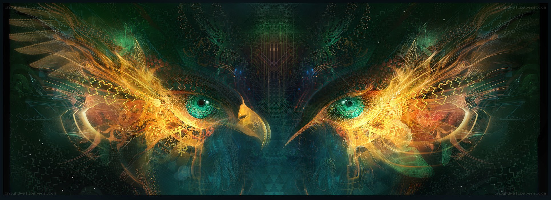 digital bird eyes artwork
