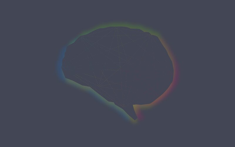 Digital Brain Model