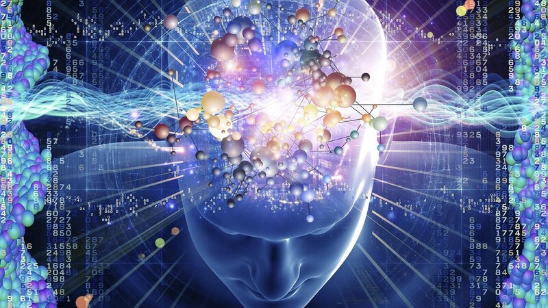 Digital Brain Network