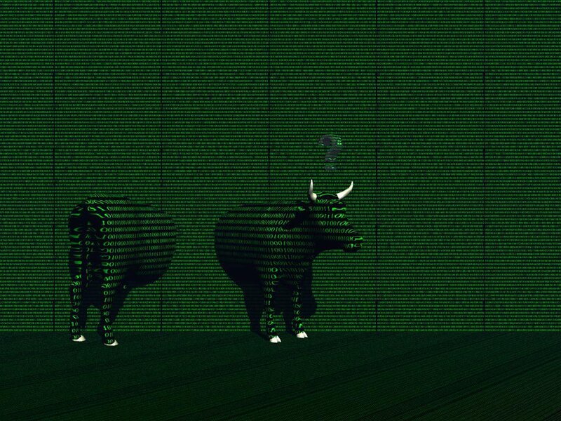 digital bull in binary code