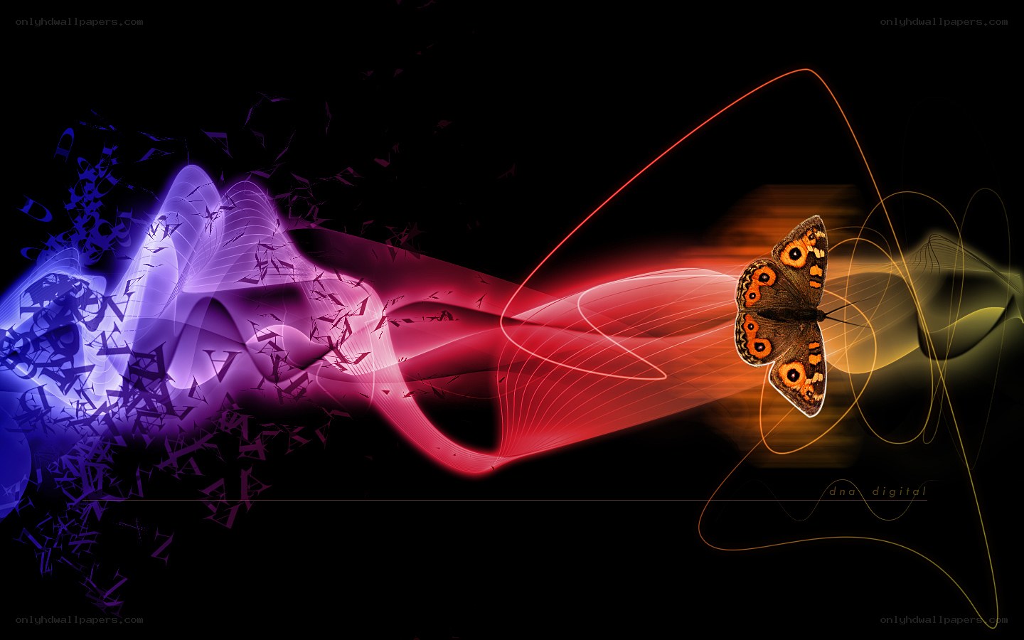 Digital butterfly with data waves