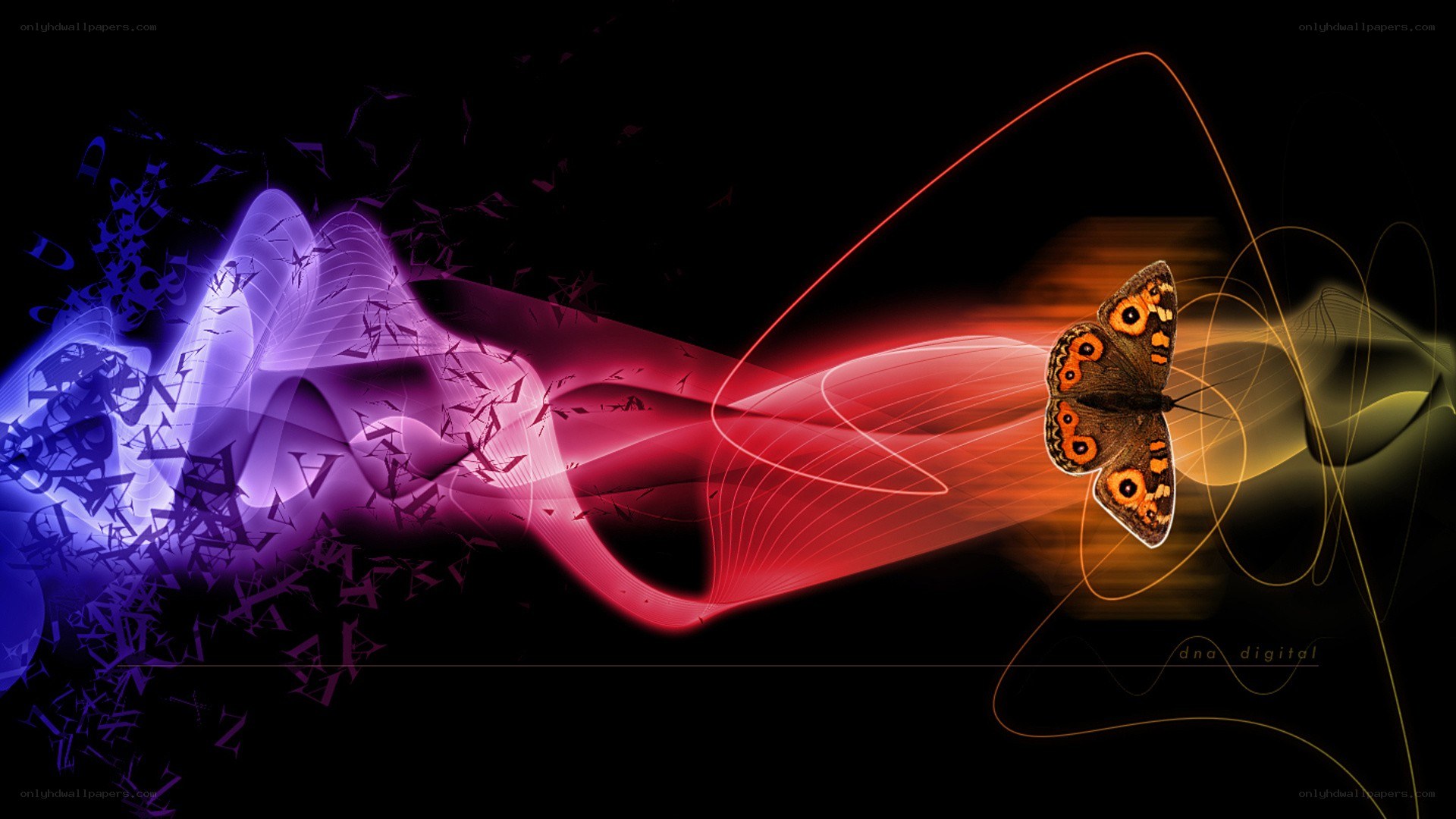 digital butterfly with light trails