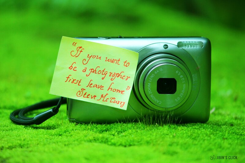 Digital Camera on Grass