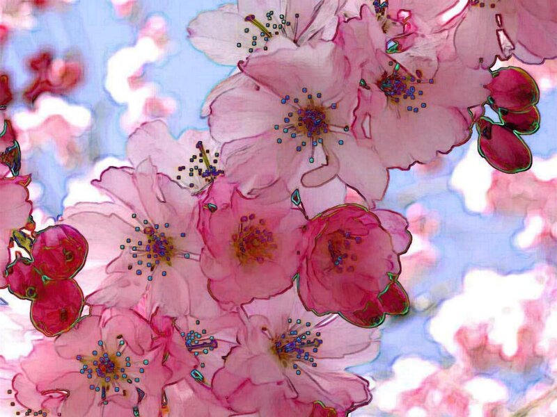 digital cherry blossoms