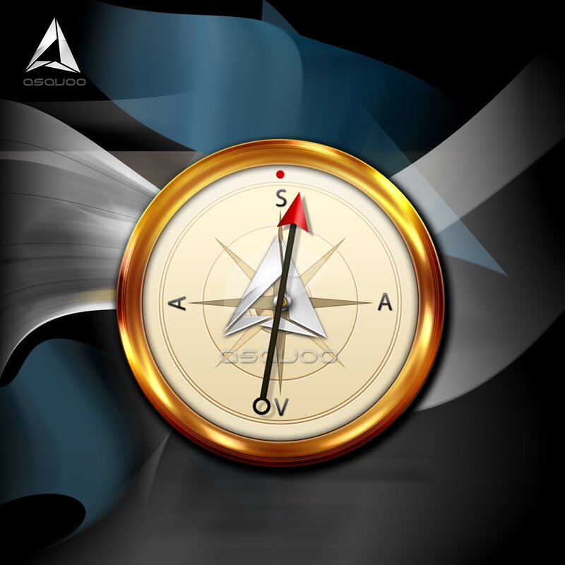 digital compass with logo
