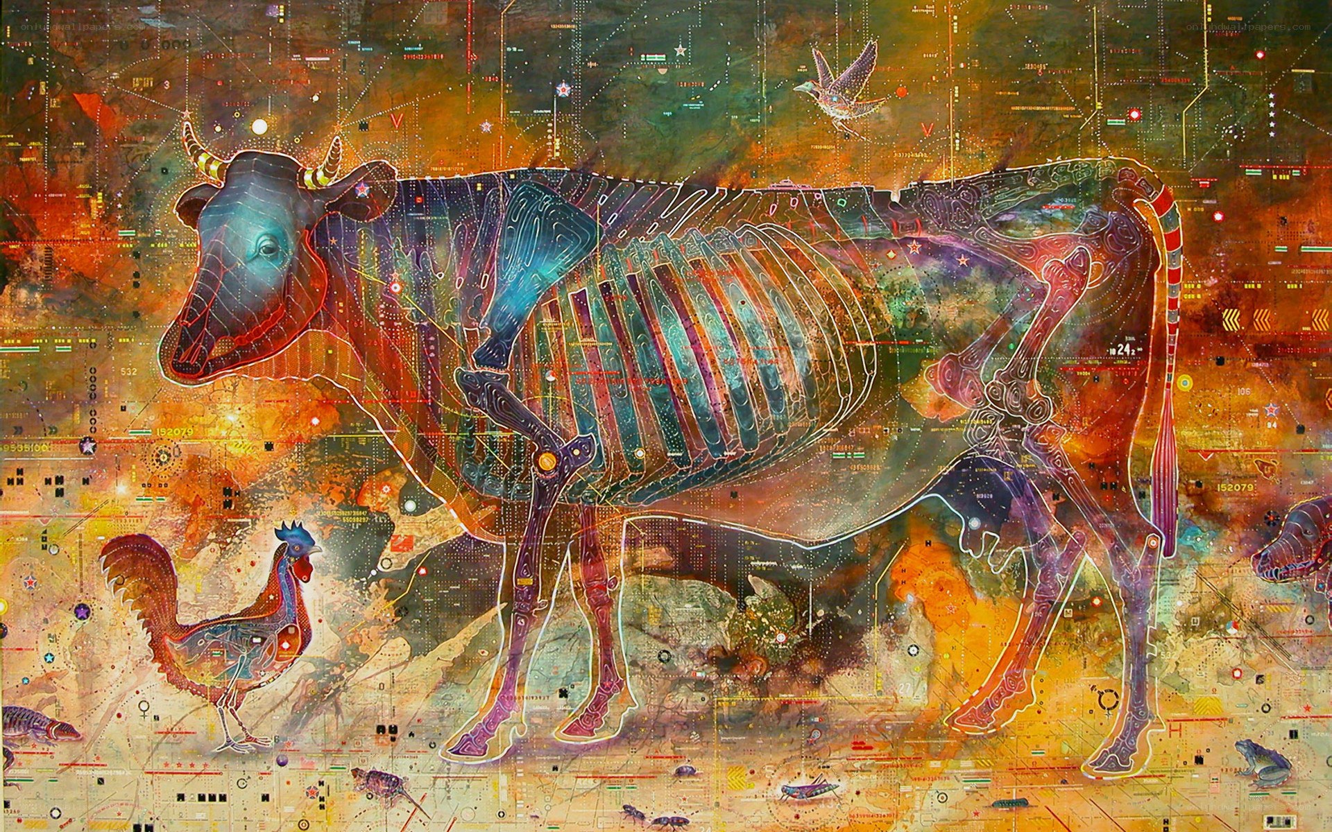 Digital cow with skeletal overlay