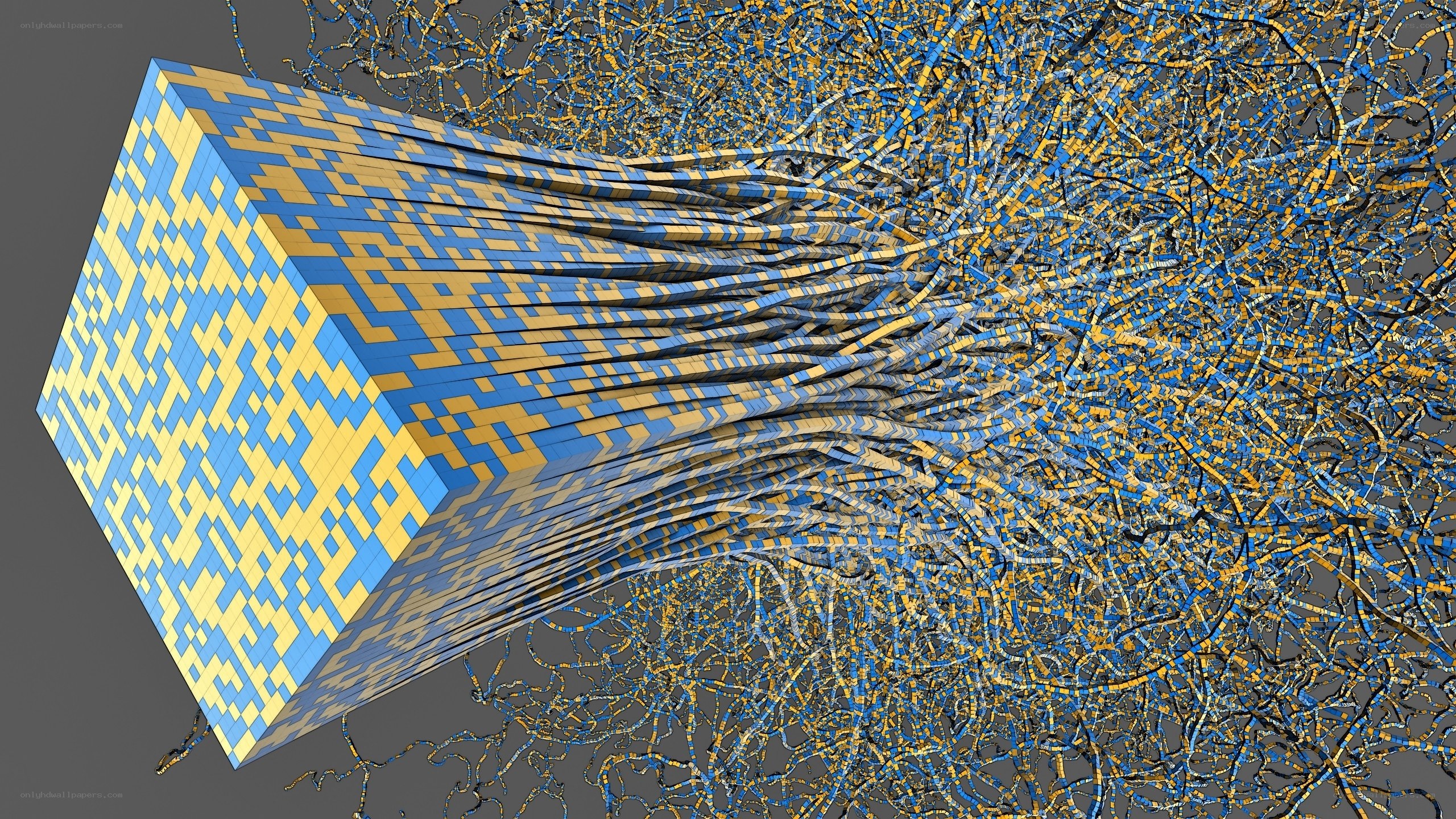 Digital cube with branching network