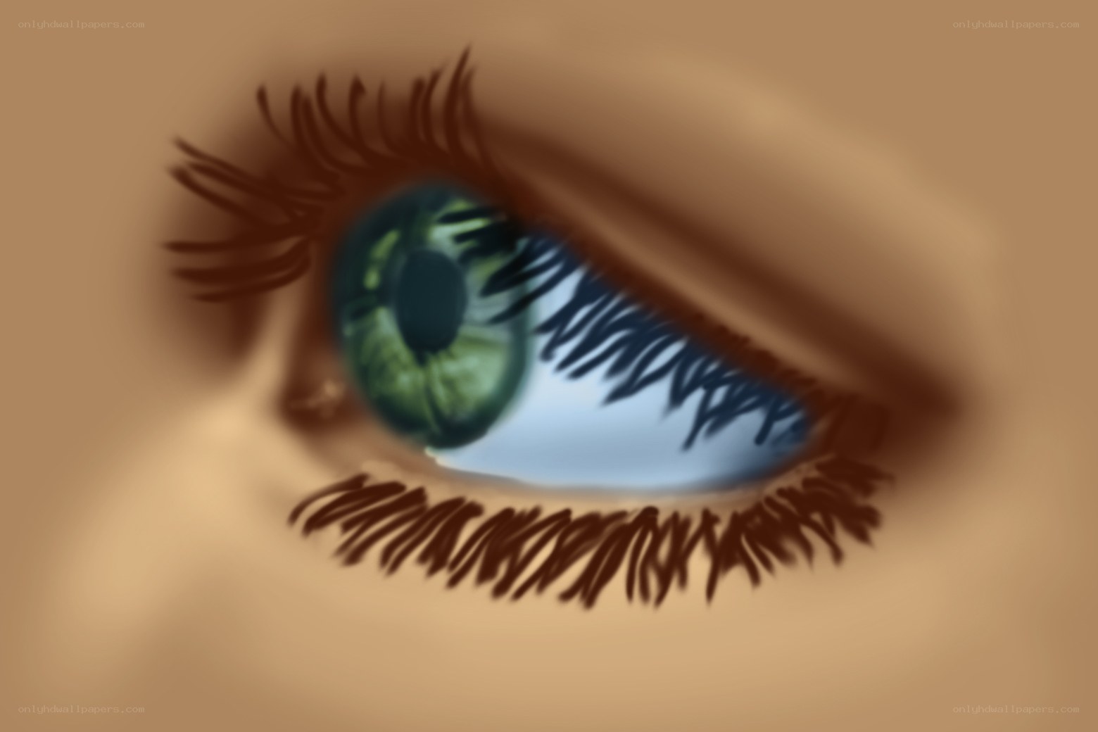 digital eye illustration