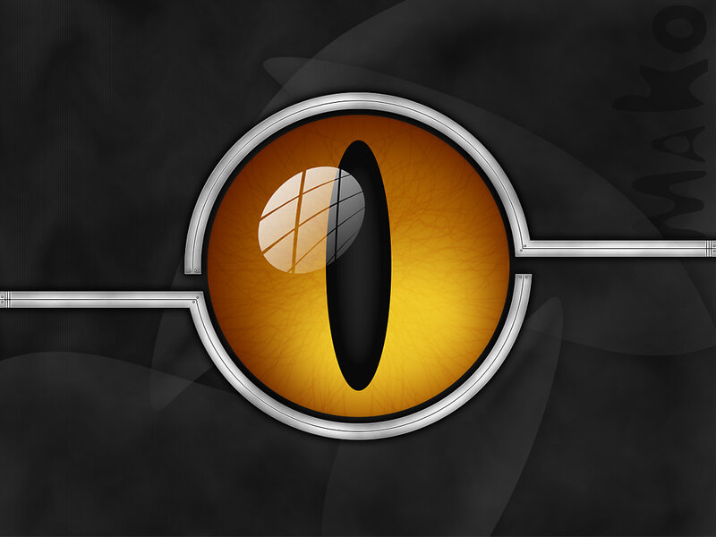 digital eye with metallic frame