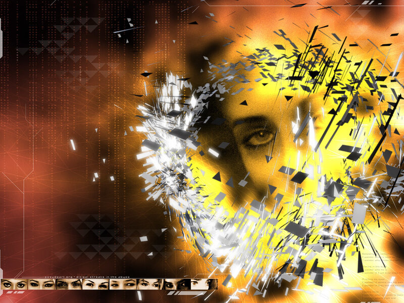 digital face fragmentation