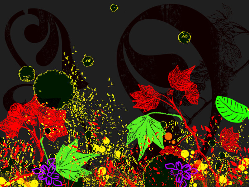 Digital Floral Illustration — Black