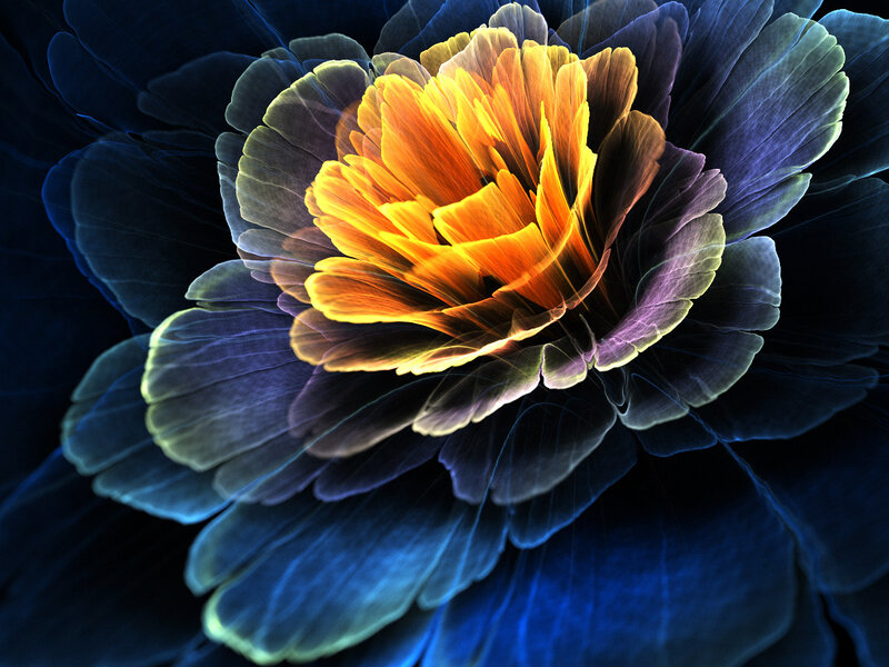 Digital Flower Bloom