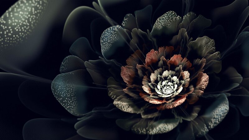 Digital Flower with Glowing Petals — Black, Dramatic, Digital Art