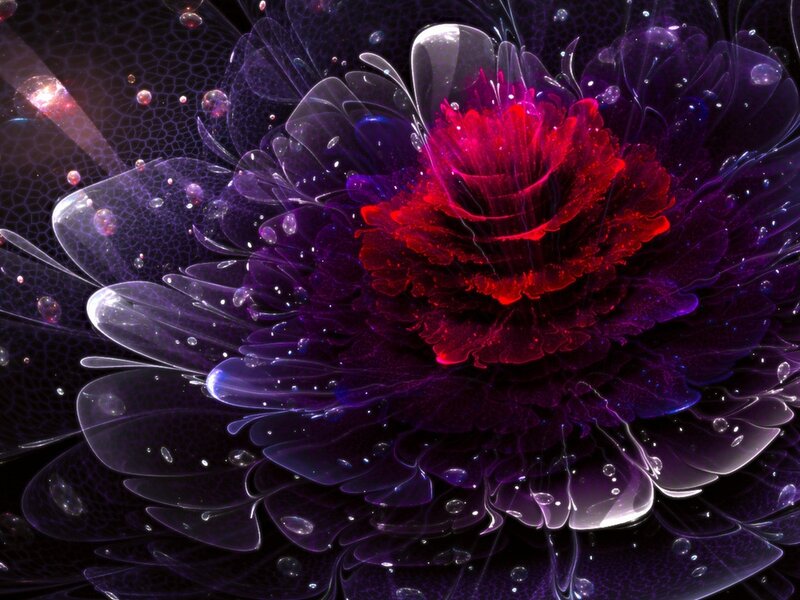 Digital Flower with Red Center
