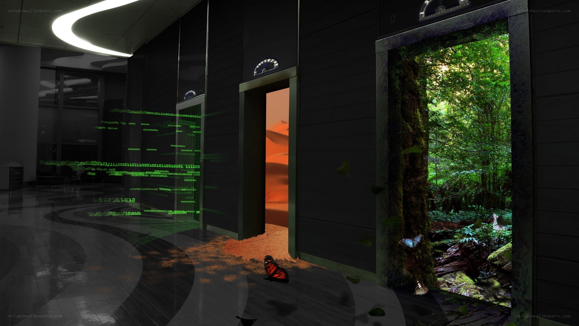 Digital forest portal