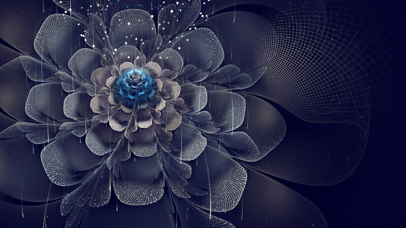digital fractal flower art