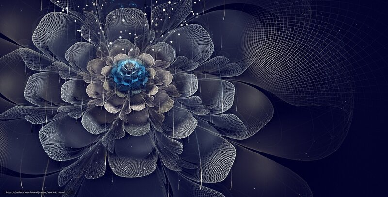digital fractal flower art
