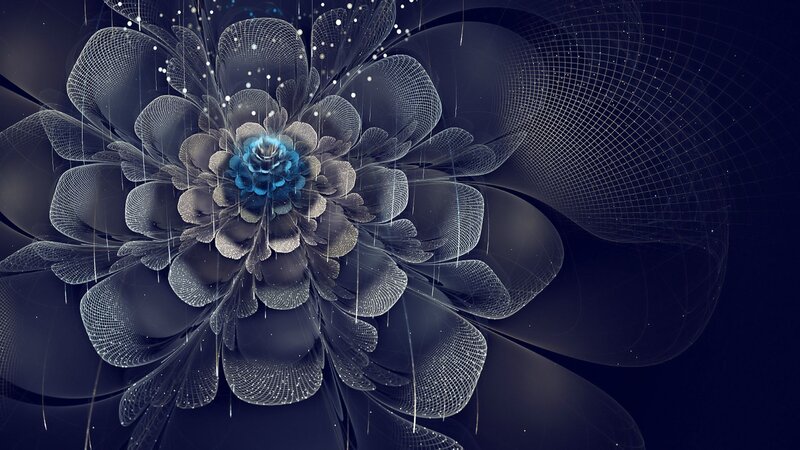 Digital Fractal Flower — Black