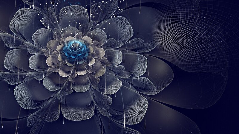 Digital Fractal Flower