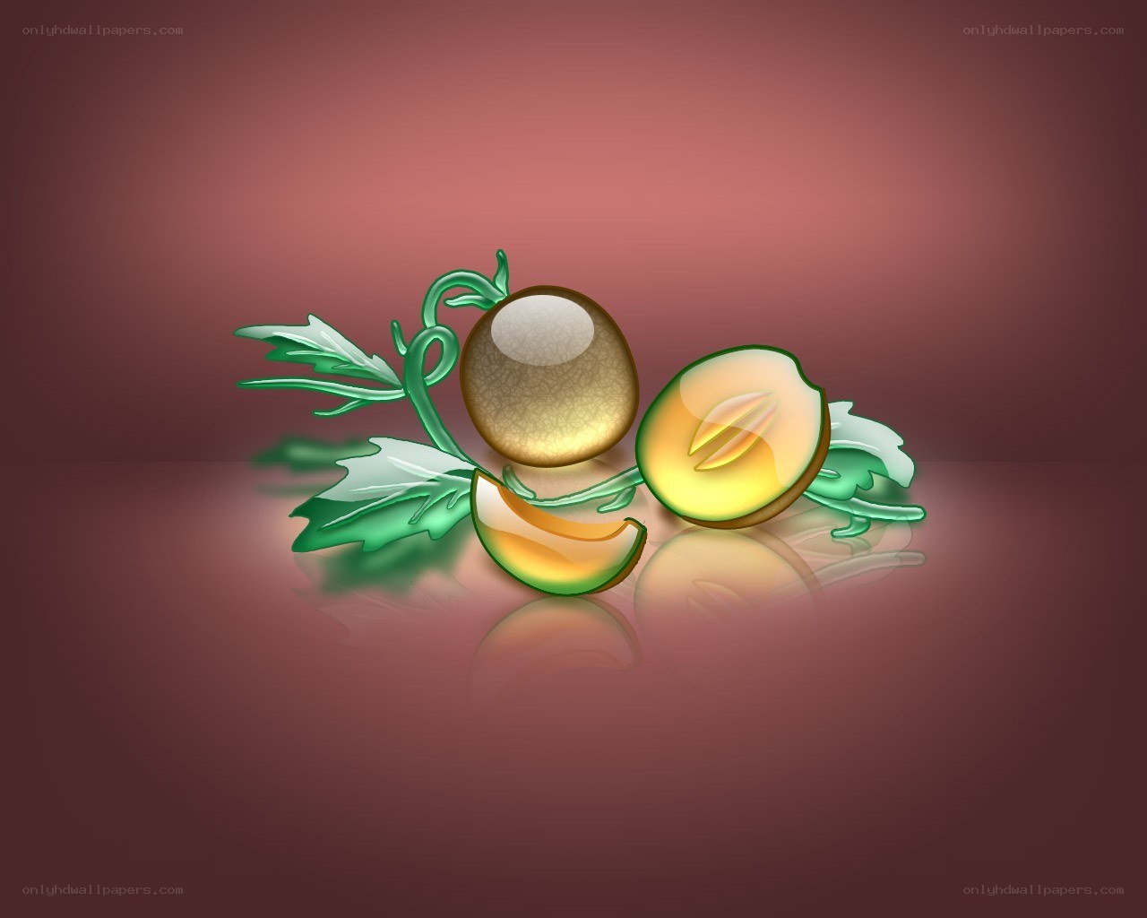 digital illustration of melon