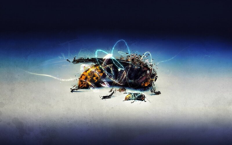 Digital insect disintegration
