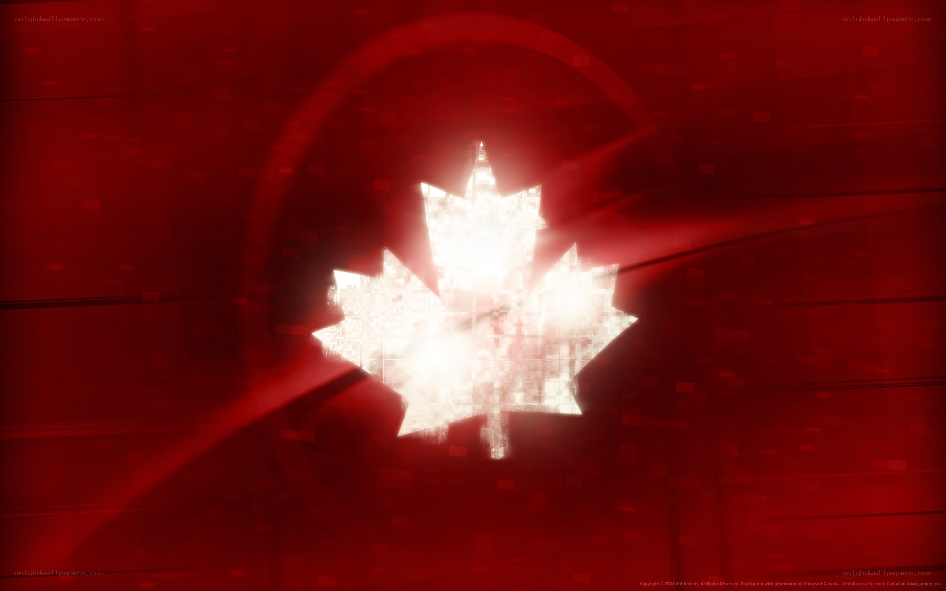 digital maple leaf design