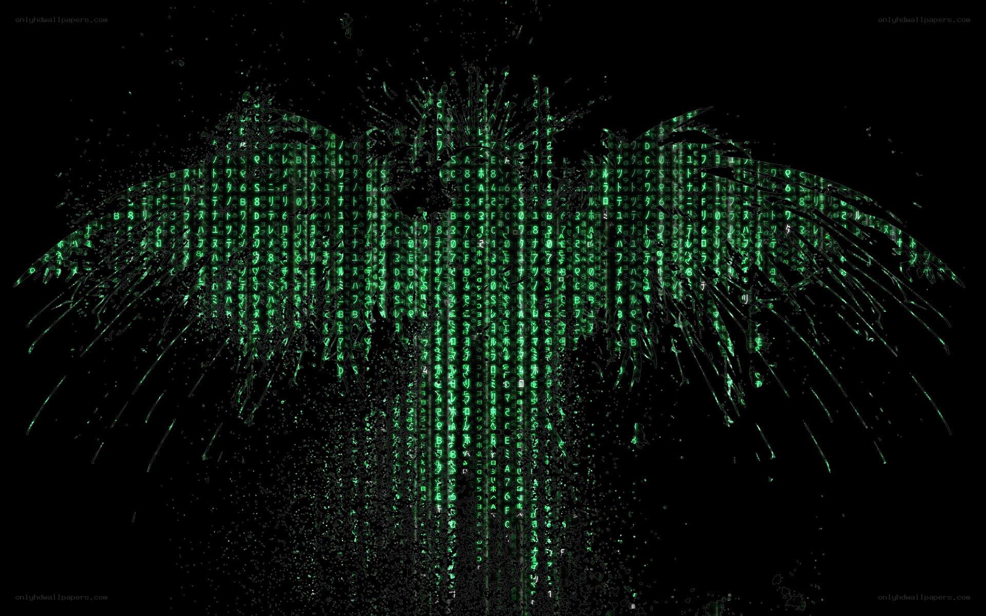 digital matrix angel wings