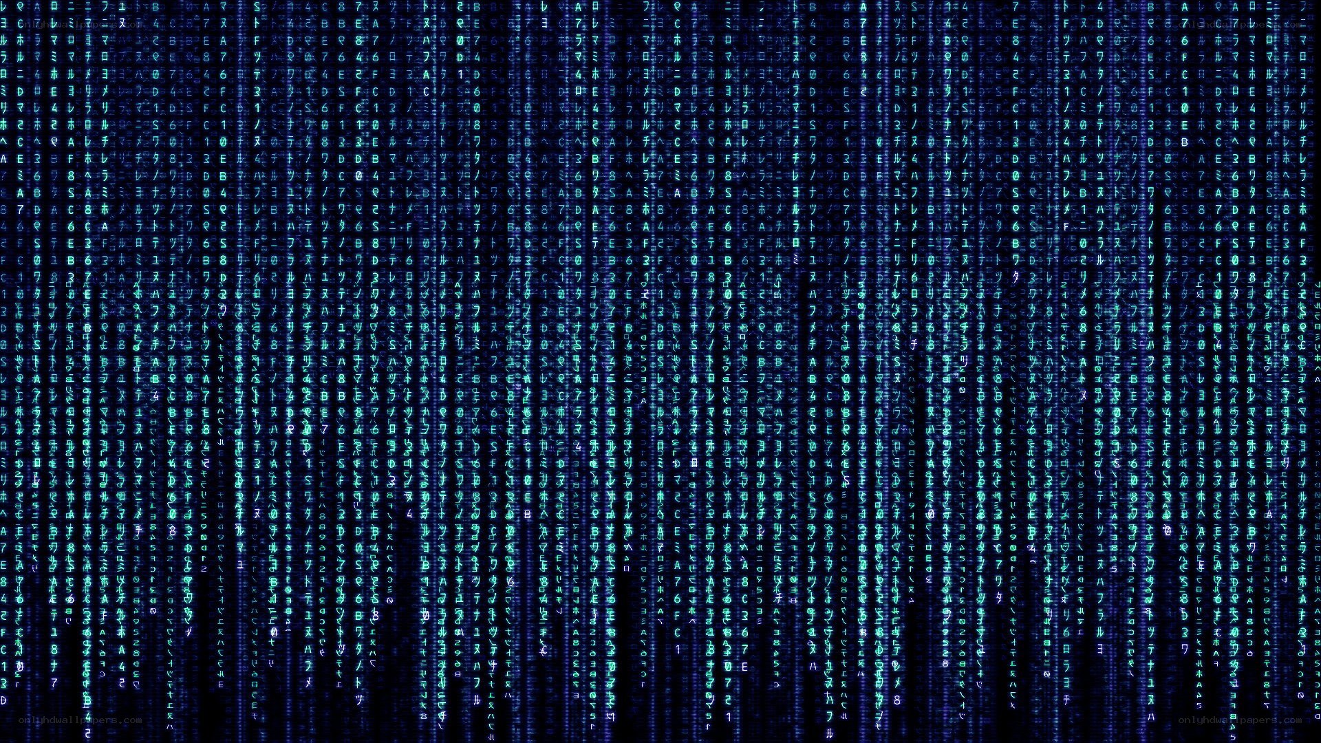 digital matrix code rain