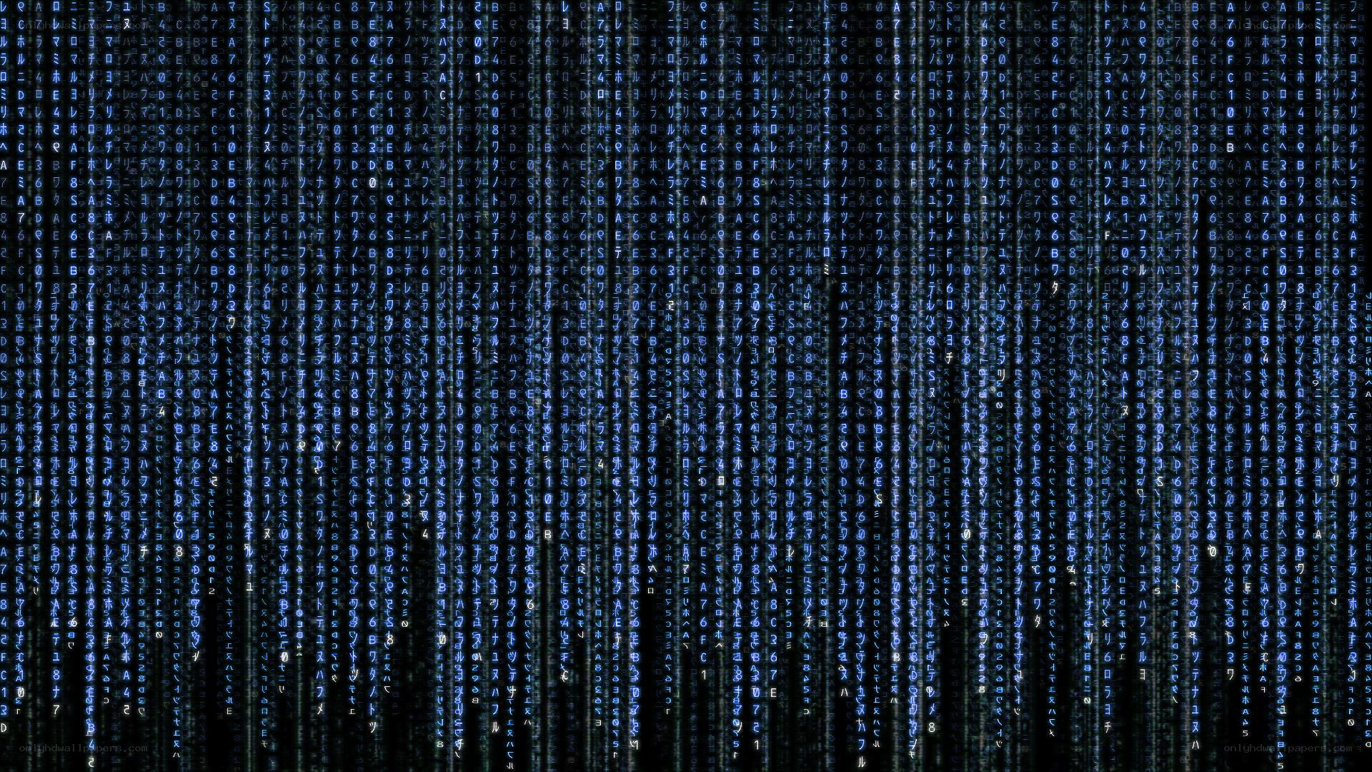 digital matrix code rain