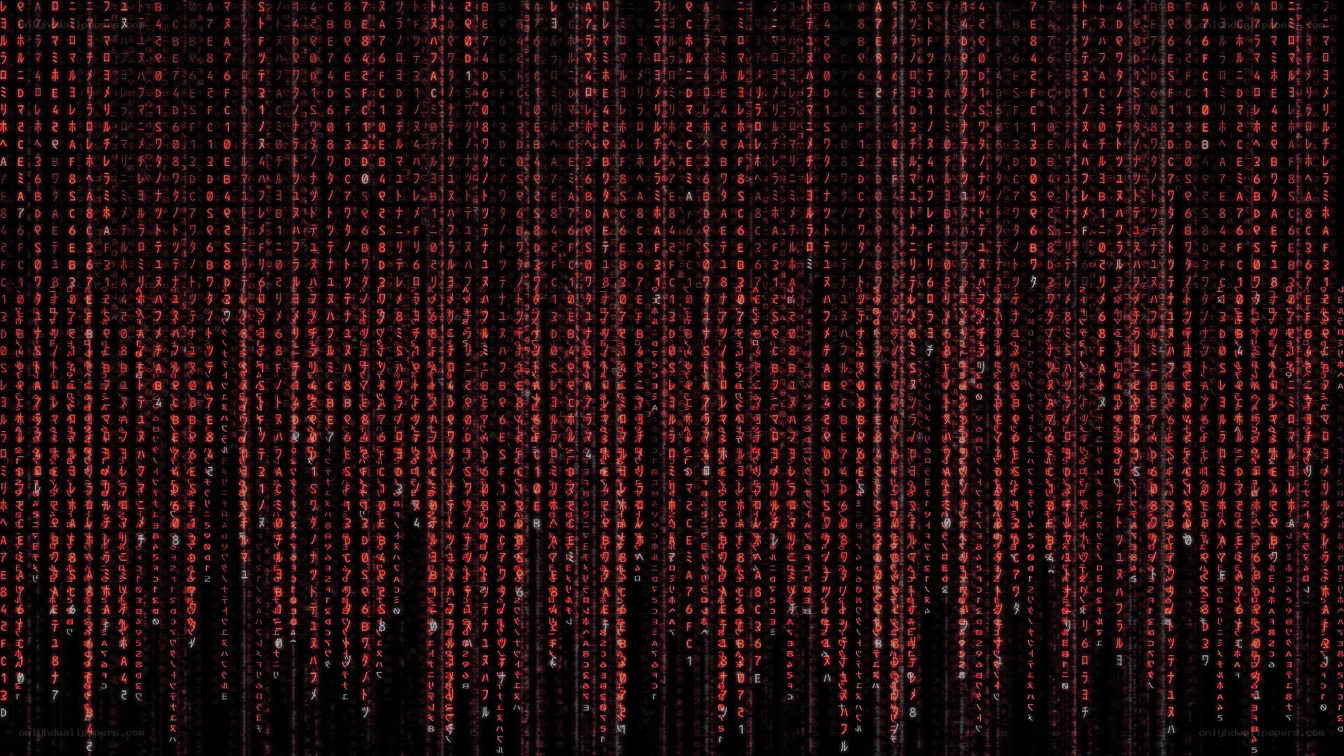 digital matrix code rain