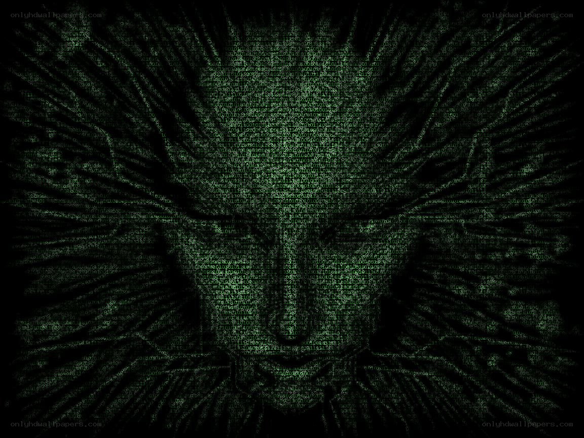 digital matrix skull