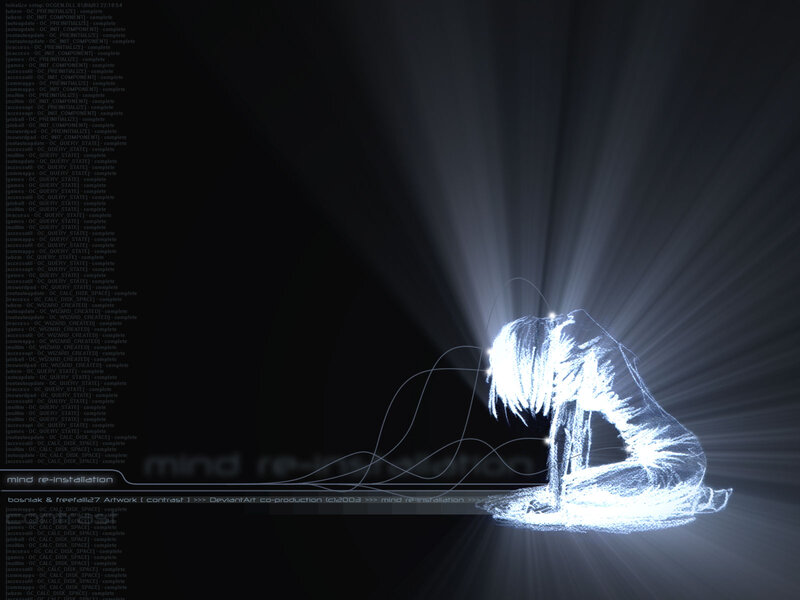 Digital Mind Reinstallation