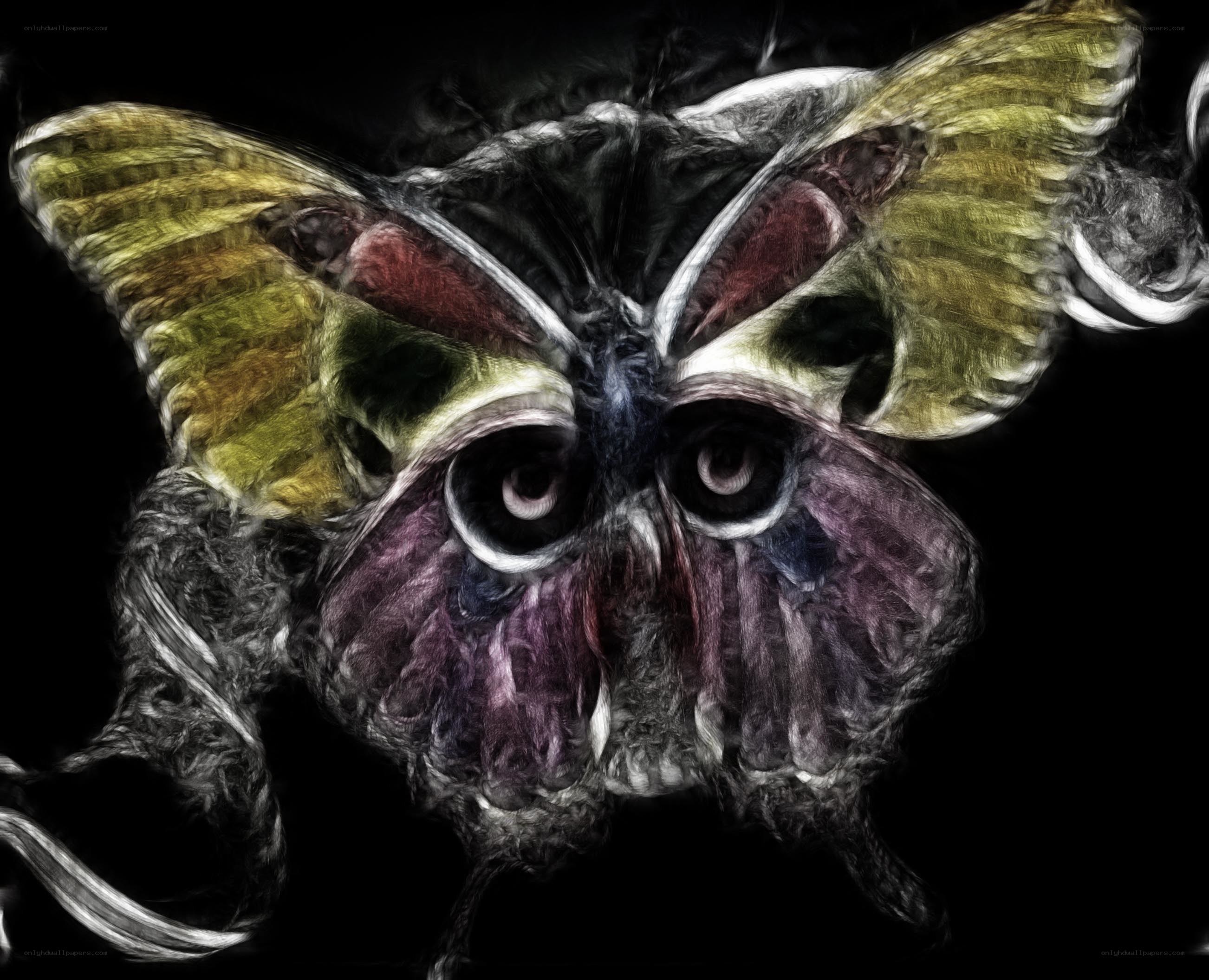 digital moth with eyes