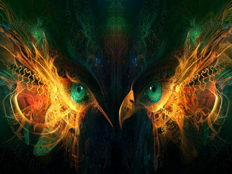 digital owl eyes with fractal patterns