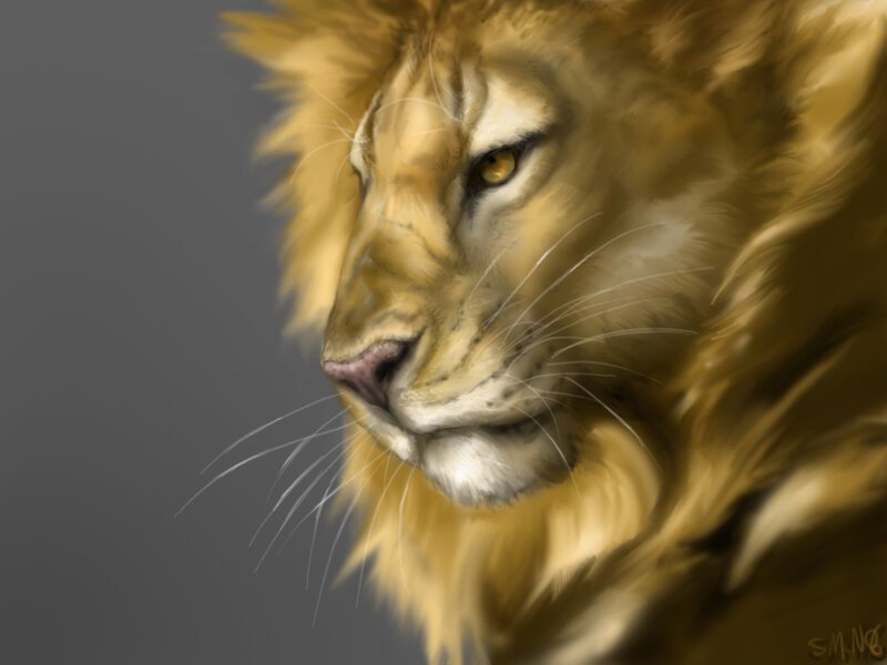digital painting of a lion