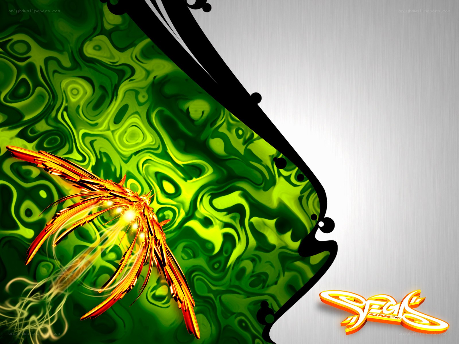 digital phoenix on green swirl