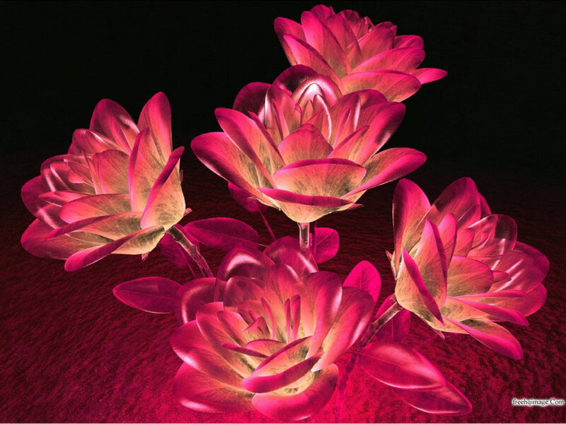 Digital Pink Roses