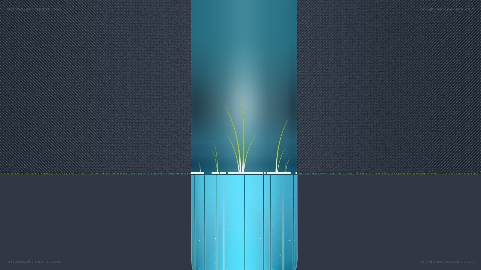 digital plant in blue container