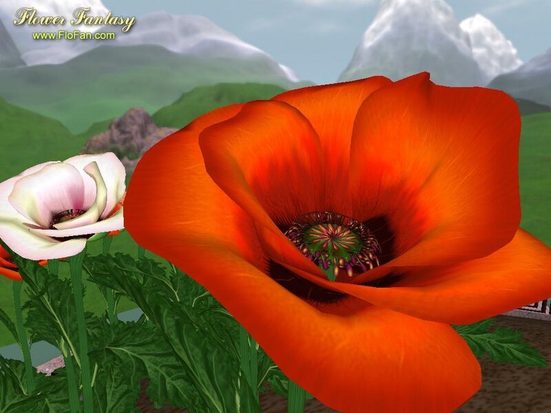 Digital poppy flowers in a fantasy landscape