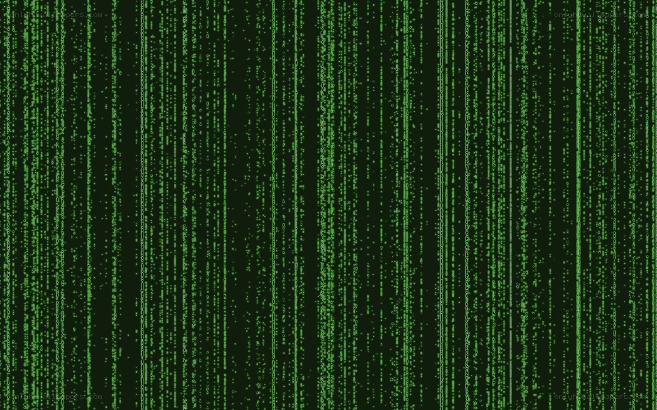 digital rain matrix effect