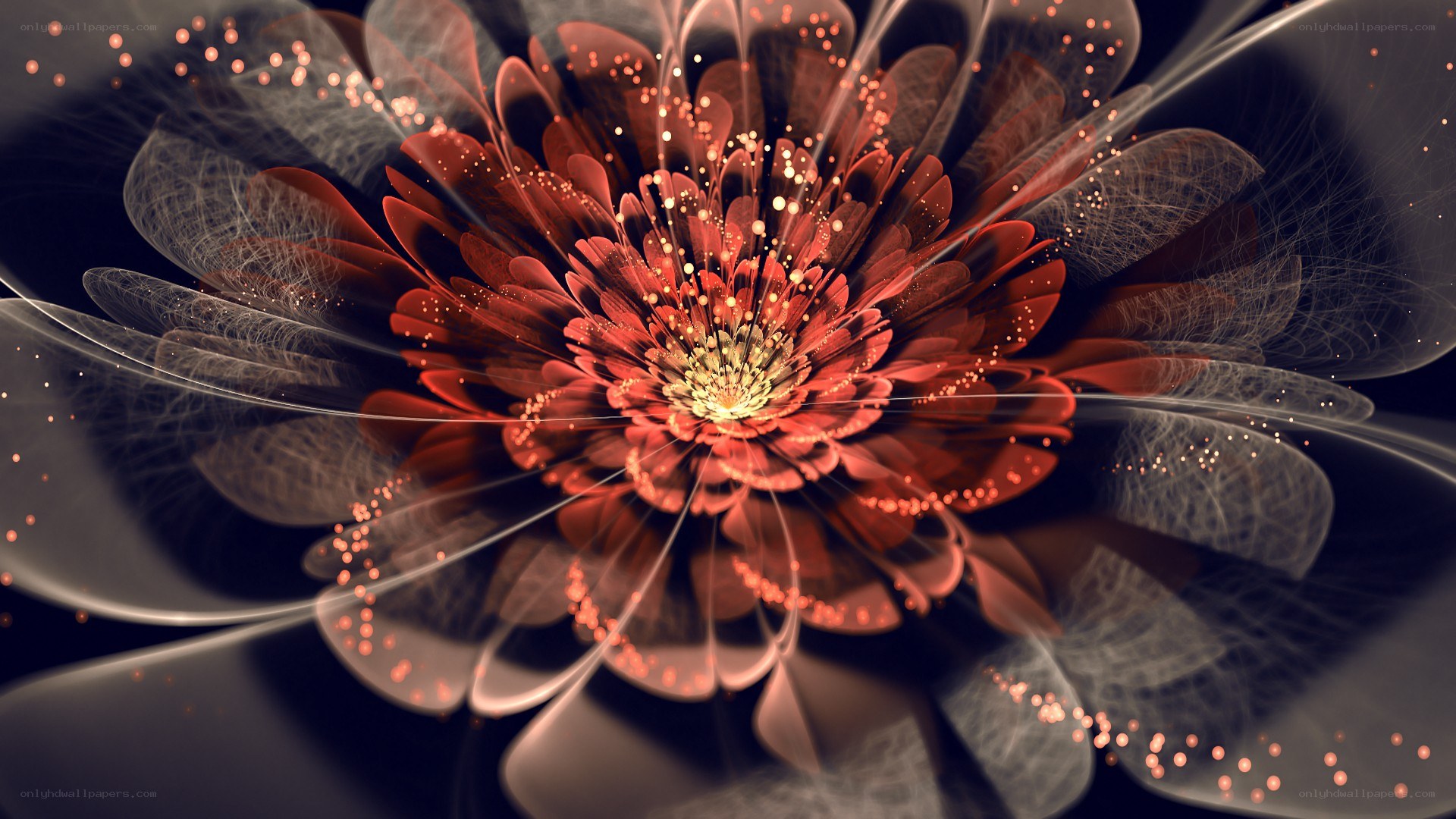 digital red flower fractal