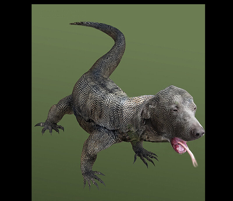 digital rendering of a lizard