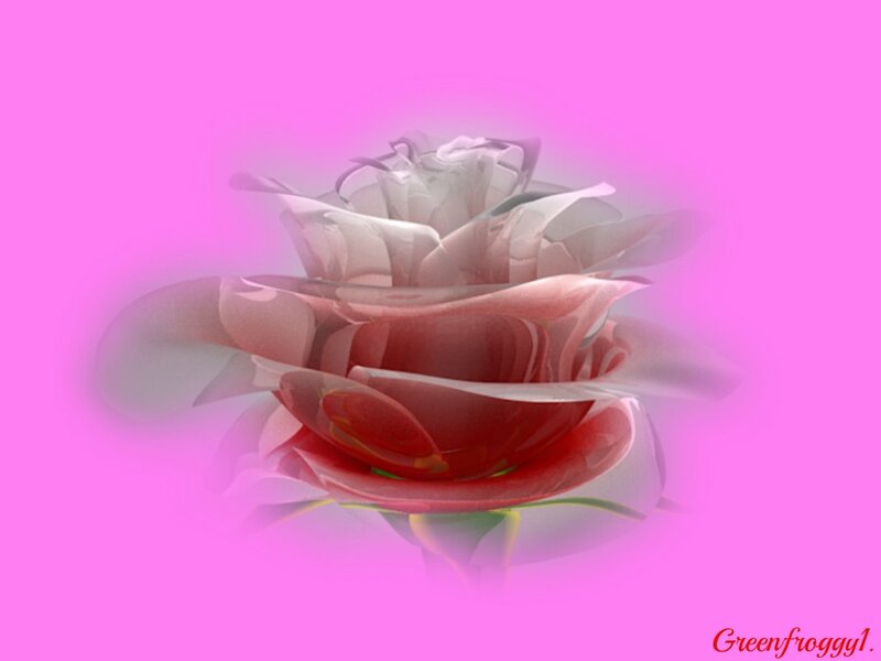 Digital Rose Flower — Pink