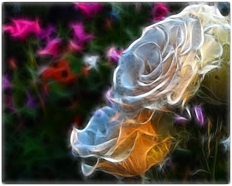 Digital Rose Flower