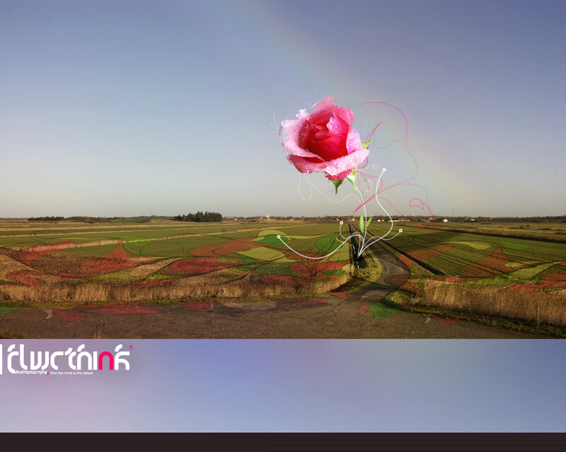 Digital rose over a field