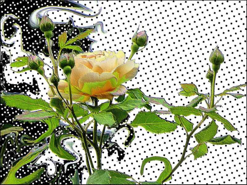 Digital rose with halftone background