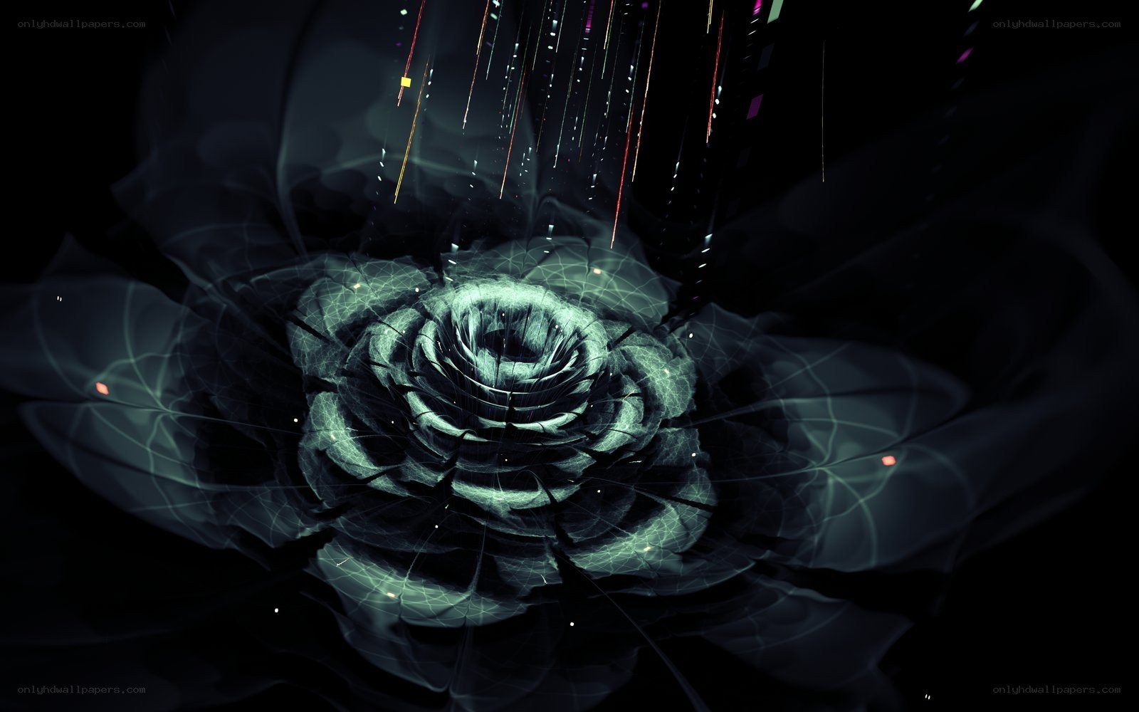 digital rose with light streaks