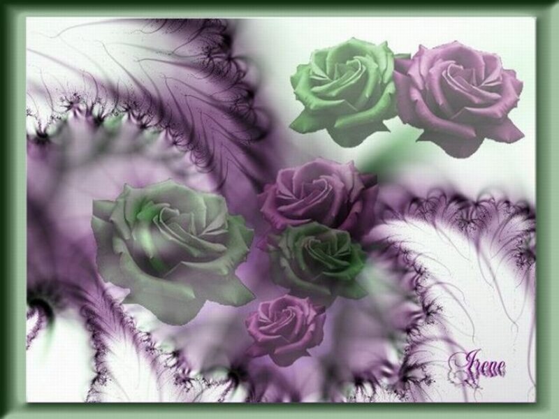 Digital Roses with Fractal Background